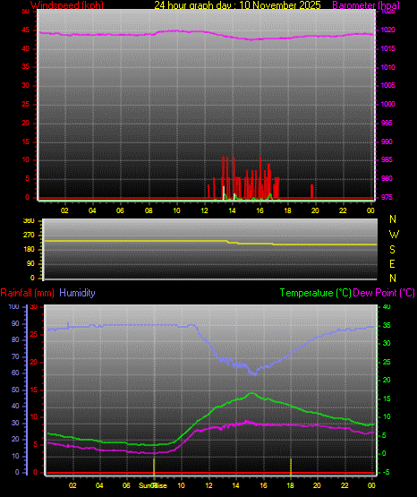 24 Hour Graph for Day 10