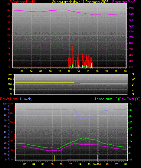 24 Hour Graph for Day 11