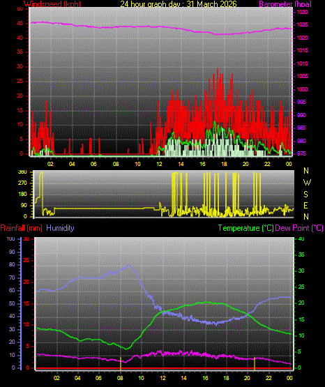 24 Hour Graph for Day 31